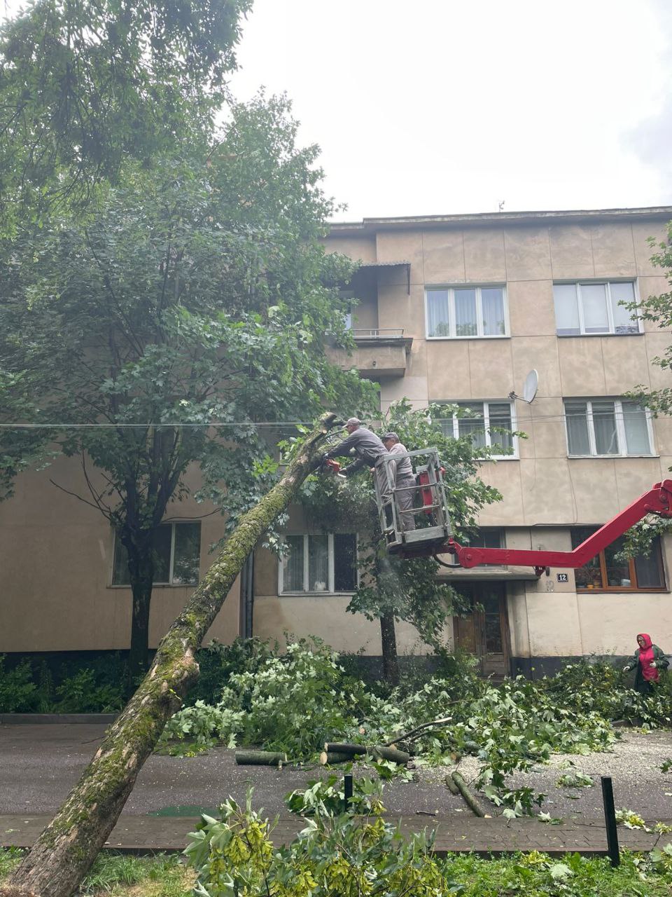 Фото 1: Найбільші пошкодження ліквідовано, комунальні служби продовжують працювати: наслідки вчорашньої негоди (відео)