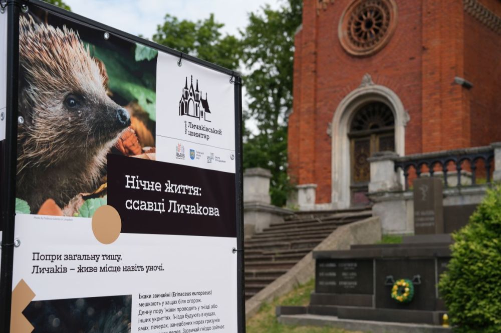 Фото 2: На “Личаківському цвинтарі” відкрили виставку про природну спадщину