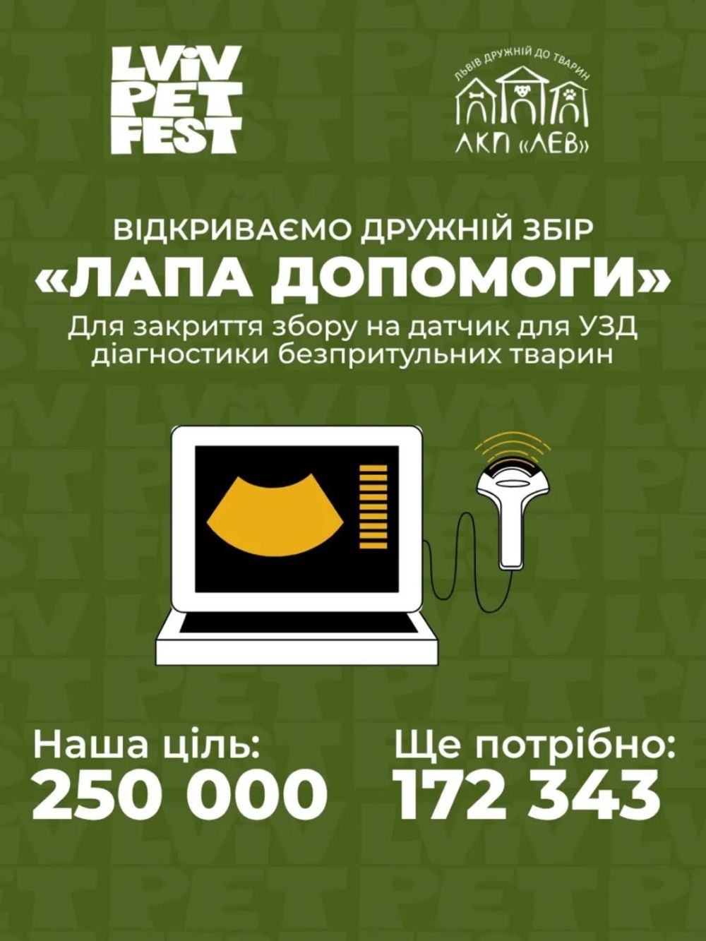 Фото 2: До Всесвітнього дня безпритульних тварин ЛКП &laquo;Лев&raquo; збирає кошти на прилад для діагностики серцевих захворювань