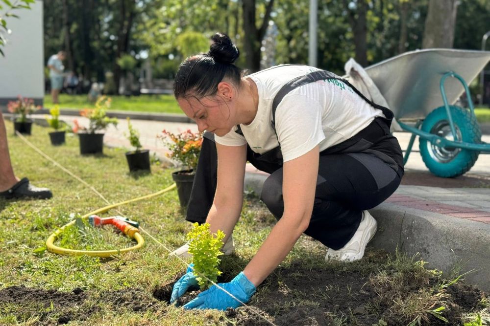 Фото 1: Більше сотні рослин висадили волонтери навколо Лікарні святого Луки