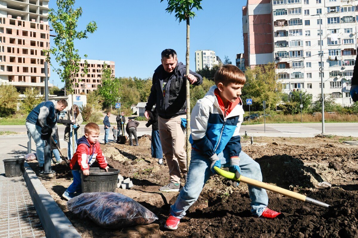Фото 1: Мешканці соціального житла на вул. Миколайчука разом озеленили свій простір (відео)