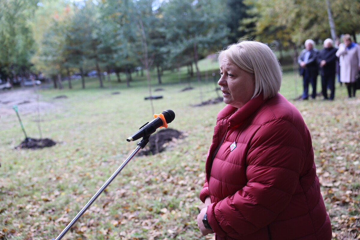 Фото 1: У Дублянах висадили алею з&nbsp;сакур у&nbsp;пам&rsquo;ять про полеглих Героїв