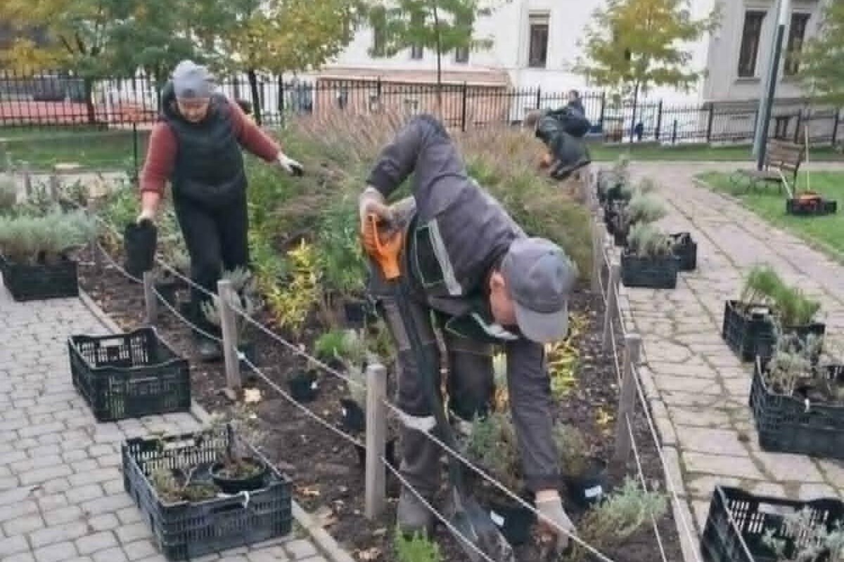 комунальні працівники висаджують квіти на клумбі