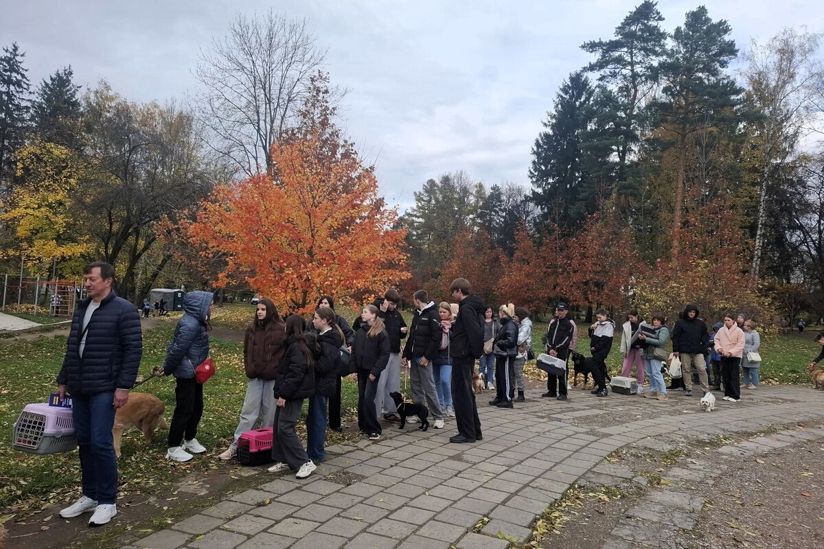Черга з понад 20 людей з собаками та котами, які чекають у Левандівському парку на безкоштовну вакцинацію тварин від сказу