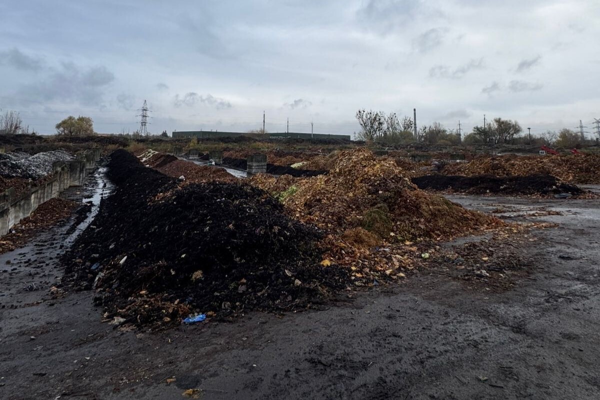 в двох рядах на станції компостування компост, змішаний з грунтом та листя