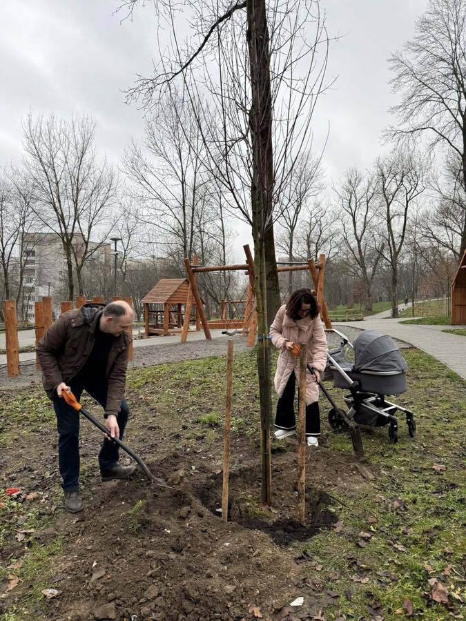 подружжя висаджує дерево в Замарстинівському парку. Чоловік та жінка з лопатами загортають землю в лунку дерева. Поруч з жінкою &ndash; дитячий візок. Позаду них &ndash; дерев&rsquo;яний дитячий майданчик з лазанками, гойдалками та альтанками