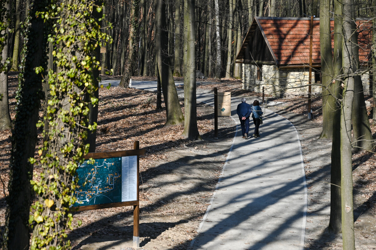 Фото 49: Підсумки 2025&nbsp;року: чим жив Львів