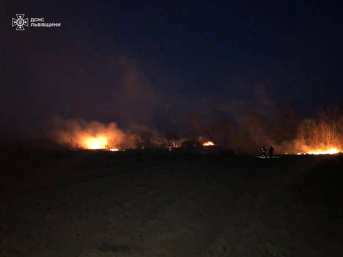 Велике полумʼя вогню, що простягається однією лінією в полі. Червоні великі вогні горять вночі на великій ділянці території. Вдалині видно дерева, які спалює полумʼя. Вгору підіймається дим