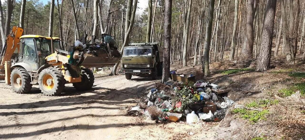 Територія, де проводять прибирання сміття. Жовтий екскаватор завантажує відходи &mdash; зокрема гілки, пакети та інший непотріб &mdash; у вантажівку, що стоїть поруч. На передньому плані видно купу сміття, включно зі штучними квітами та пластиковими речами, залишеними просто серед дерев.
