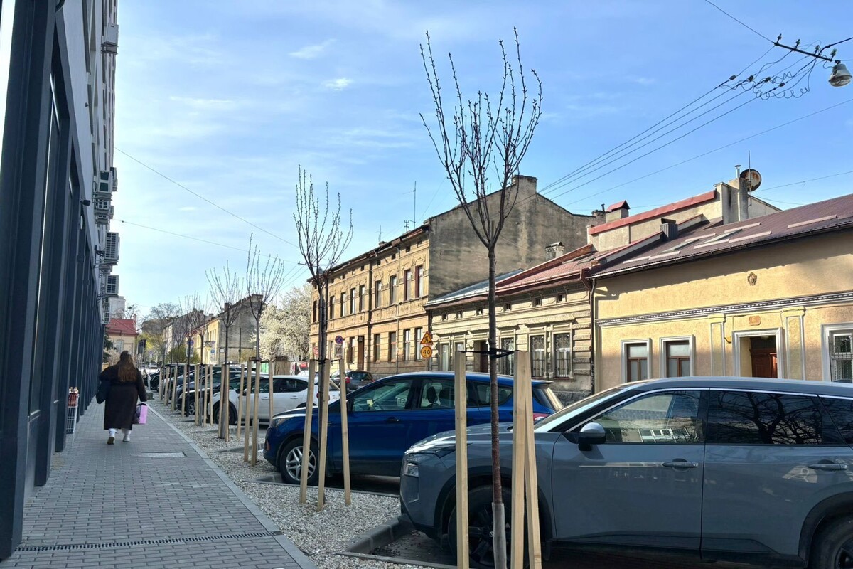 Вулиця Смаль-Стоцького в спокійний ясний день. Вздовж тротуару і парковкою висаджені молоді дерева без листя, кожне підтримується дерев&rsquo;яними кілками, а земля навколо них засипана світлим гравієм. На задньому плані видно старі одноповерхові та двоповерхові будинки з жовтуватими фасадами.