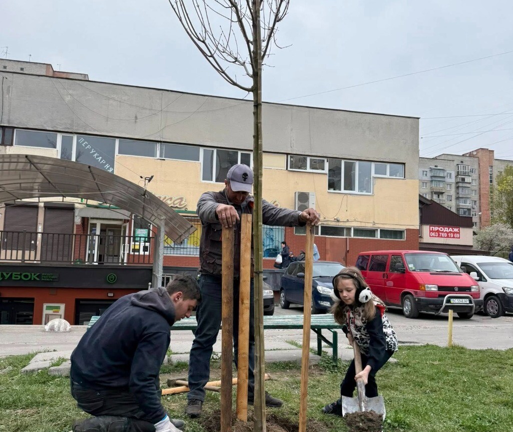 Фото 1: Дерева, які ростуть разом з&nbsp;мріями: у&nbsp;Львові сім'я&nbsp;військовослужбовця висадила у&nbsp;дворі зелений острівець