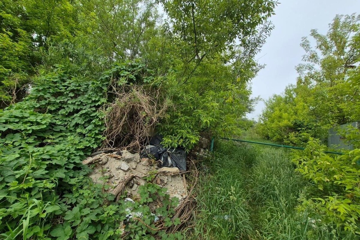 Фото 1: Узбіччя, яке веде до&nbsp;Голосківського кладовища, впорядкують і засіють газони