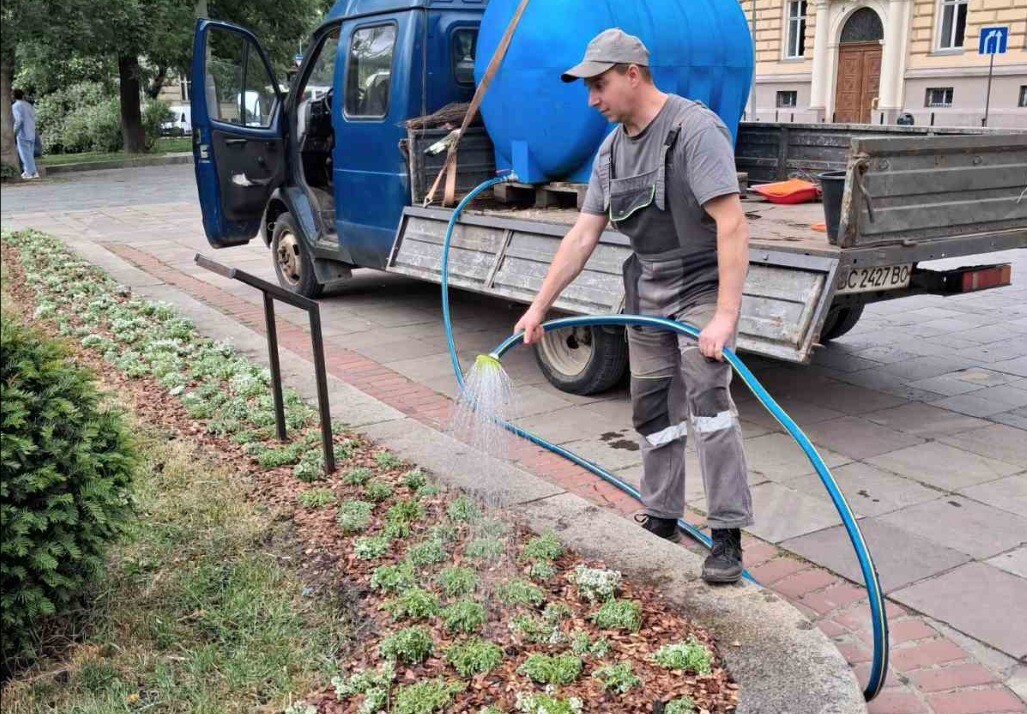 Фото 1: У парку Франка висадили понад тисячу алісумів: вже назабаром тут розвітне барвистий килим з квітів
