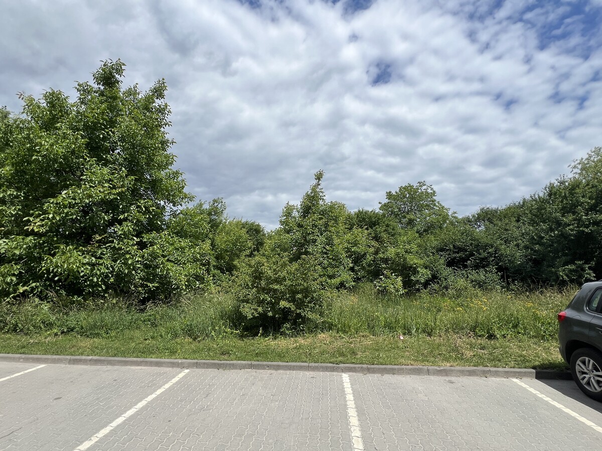Фото 1: Півтора гектара неподалік київської траси: у Львові презентували інвесторам унікальну земельну ділянку