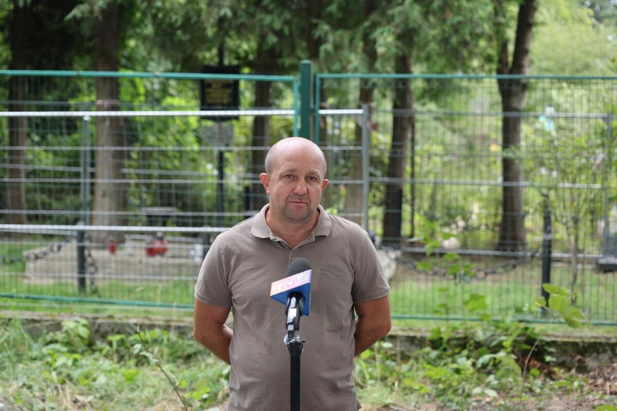 Фото 3: У Львові на старому Голосківському цвинтарі розпочали ексгумацію останків солдатів Війська Польського, загиблих у 1939 році (відео)