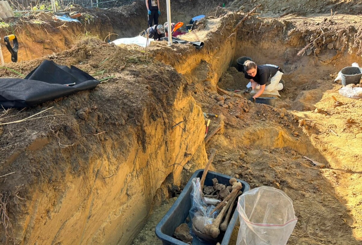 Фото 1: На старому Голосківському цвинтарі ексгумували останки солдатів Війська Польського та військових німецької армії
