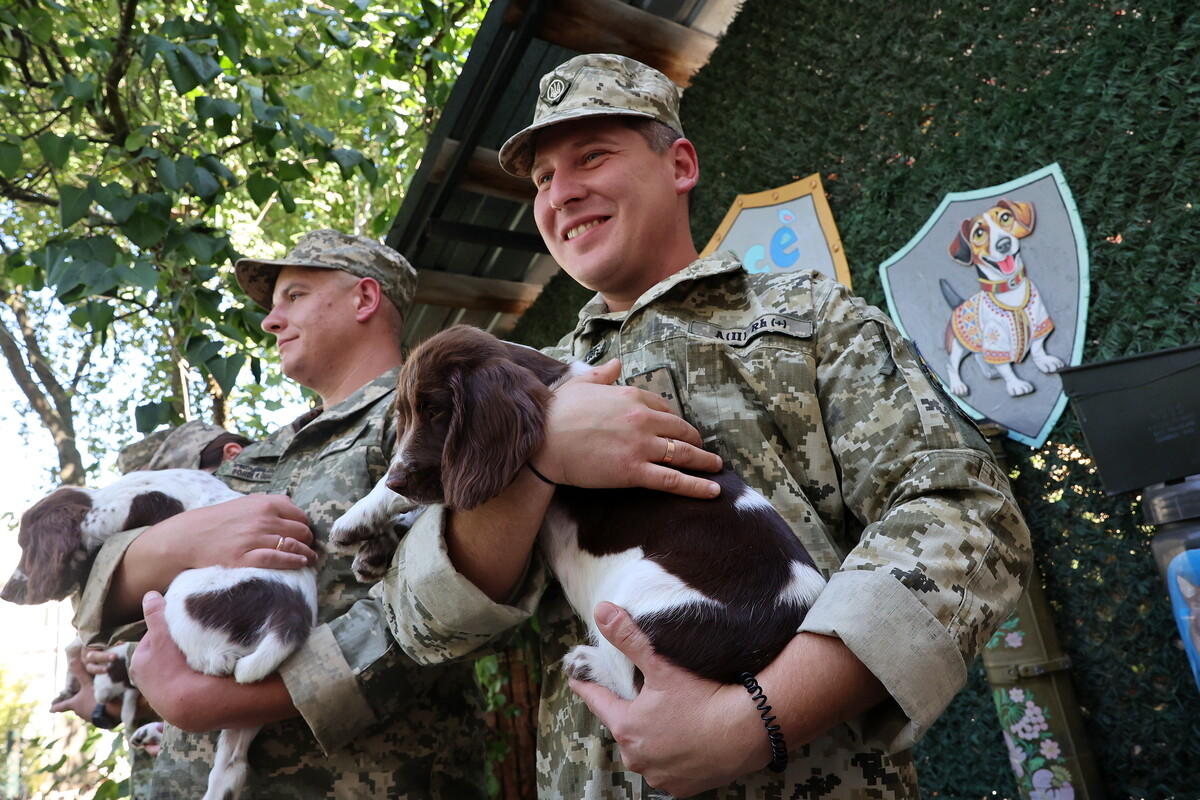 Фото 2: Шукатимуть вибухівку та&nbsp;зброю: Львівський еколого-натуралістичний центр передав 6&nbsp;собак для прикордонників (фото/відео)