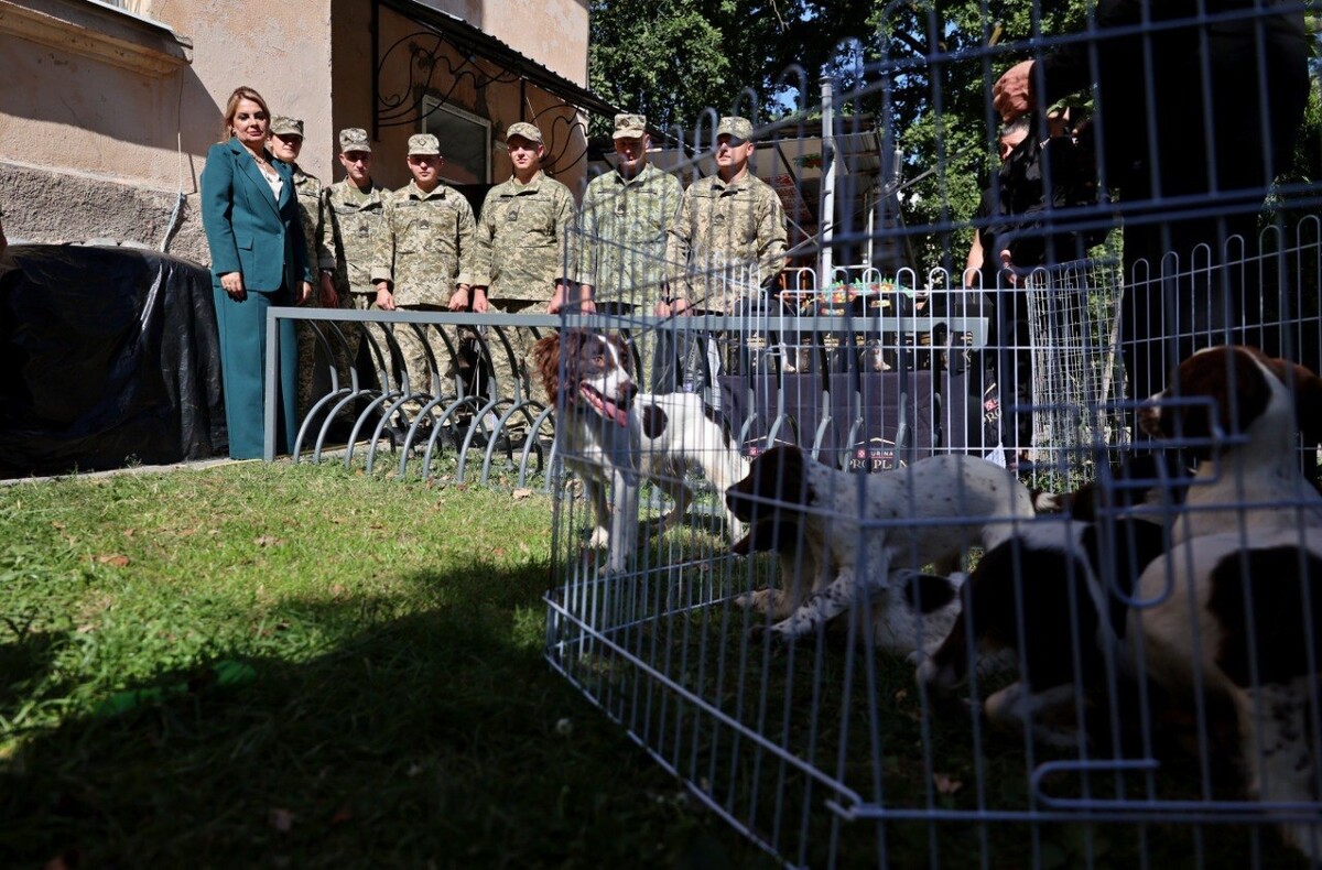 Фото 5: Шукатимуть вибухівку та&nbsp;зброю: Львівський еколого-натуралістичний центр передав 6&nbsp;собак для прикордонників (фото/відео)