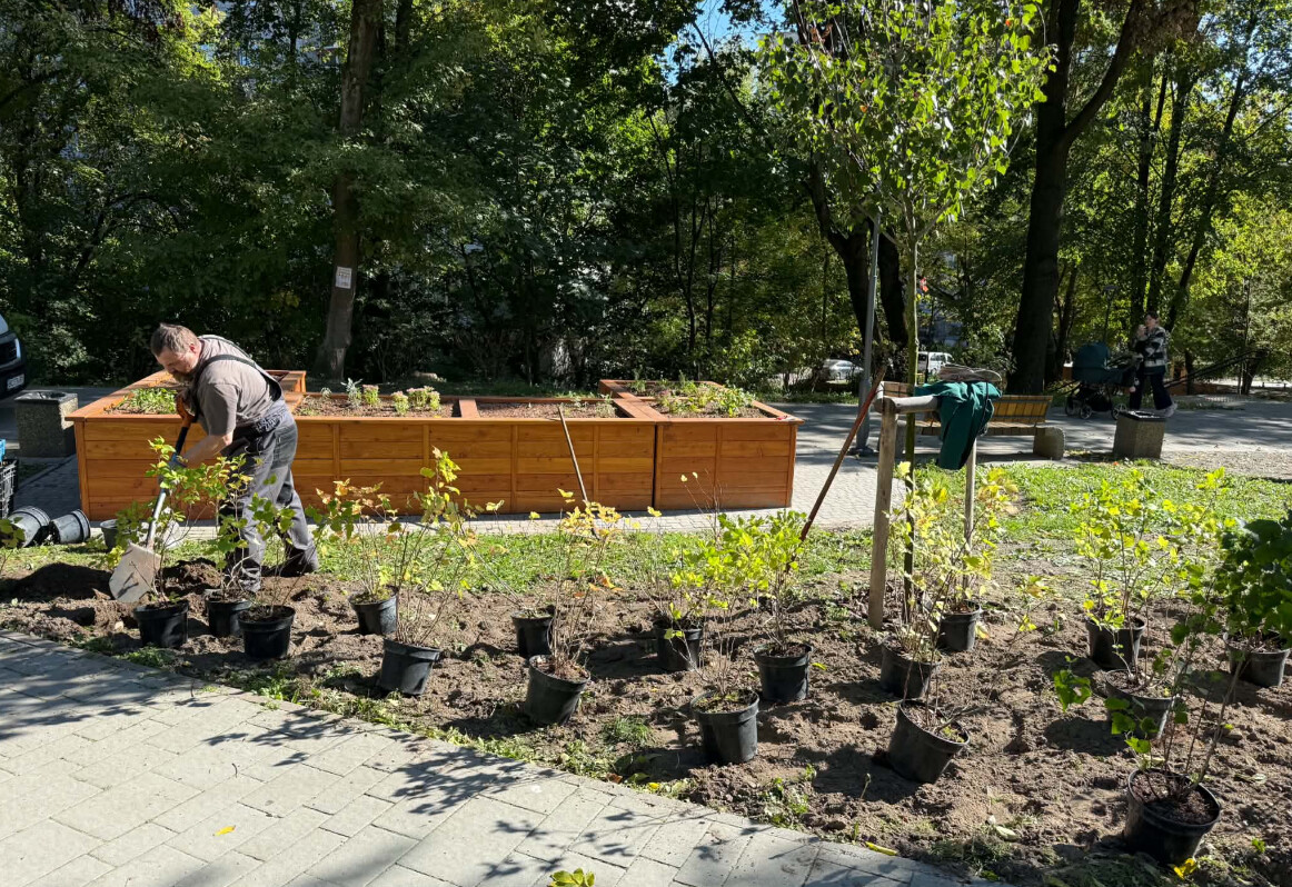 Фото 2: У&nbsp;парках Львова з&rsquo;являються зелені композиції: де&nbsp;вже висадили багаторічники та&nbsp;кущі