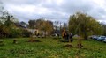 48 дерев висадили на Цитаделі