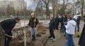 Озеленення для 46 ліцею: у Львові відкрили сезон висадок