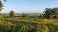 У Львівській громаді з аукціону продали 8 земельних ділянок