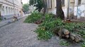 В мерії Львова розповіли про наслідки вчорашньої негоди