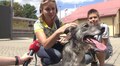 Благодійна акція «Шукаю друга!» в ЛКП «ЛЕВ» за участю спортсменів-олімпійців
