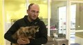 72 собаки та 96 котів: волонтери Домівки врятованих тварин евакуювали хвостатих із Херсона