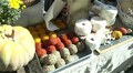 Фермерський ярмарок на площі Ринок завершує свою роботу у цьому сезоні