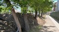 На вул. Липинського, 56 забудовника зобов’язали розчистити стовбури дерев і огородити їх