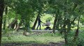 Зелених зон у Львові побільшає: на сесії розглянуть ухвали про створення нових скверів і парку