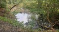 У Львівській громаді очистять річки