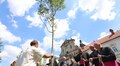 «Дерево — це частина молитви»: у Львові до 25-річчя візиту Івана Павла ІІ посадили ясен