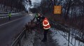 Через сильний вітер у Львові впало 5 дерев, обірвало електромережу: усі пошкодження вже ліквідовано
