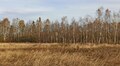 «Торфовище Білогорща» залишається заказником: рішення суду