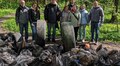 Понад 2 тисячі людей взяли участь у щорічній міській толоці