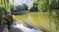 Міжнародний день чистих берегів: на вихідних небайдужих запрошують долучитись до прибирання водойм у Львівській громаді