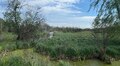 У Львові організують міжнародний семінар з відновлення водно-болотних угідь: у фокусі – «Торфовище Білогорща»