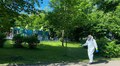 Завтра в місті розпочнуть обробляти парки та зелені зони від кліщів (оновлено)