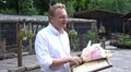 «Ми хочемо збудувати ще один еколого-натуралістичний центр в частині Снопківського парку»,-А.Садовий