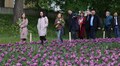 200 тисяч тюльпанів Нідерланди вже подарували Львову: чи побільшає їх у місті наступного року? (відео)
