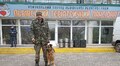 Собака Ненсі з кінологом ЛКП «Лев» відвідали мешканця геріатричного пансіонату