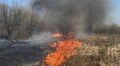 Мешканців закликають не палити траву та сухостій