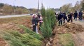 На Голосківському цвинтарі висадили 5 кленів та 120 ялівців