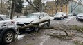 Комунальники ліквідували наслідки падіння гілки дерева на Свенціцького