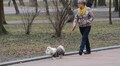 До кінця тижня у Львові триває безкоштовна вакцинація тварин від сказу