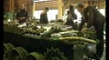 Бронетанковий завод у Львові збільшує виробництво 