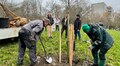 Сім’я захисника подарувала Львову вже третє дерево: в Замарстинівському парку висадили дерева в межах осінньої акції (відео)