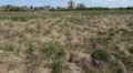 У Львові на аукціон виставлять три земельні ділянки